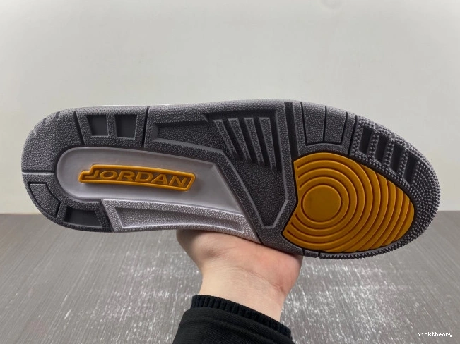 Kick Theory Bryant PE 869802-907 Retro Kobe 3 Jordan 0818